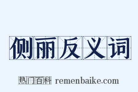 侧丽反义词是什么意思的图片